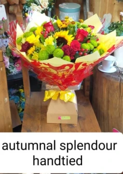 autumnal-splendour