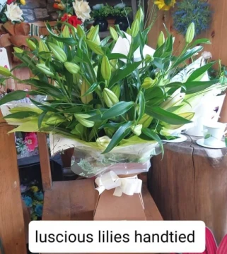 luscious-lilies