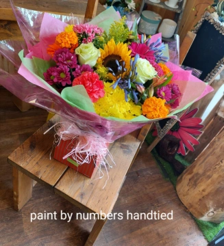 paint-by-numbers