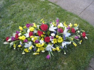 spring-coffin-spray