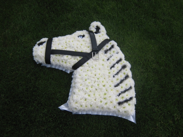 horse-funeral-tribute