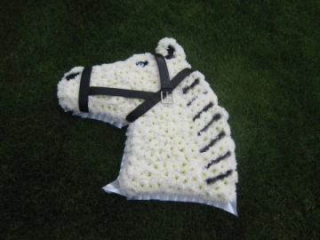 horse-funeral-tribute
