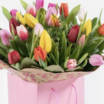 tulips-temptation