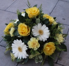 mellow-yellow-posy