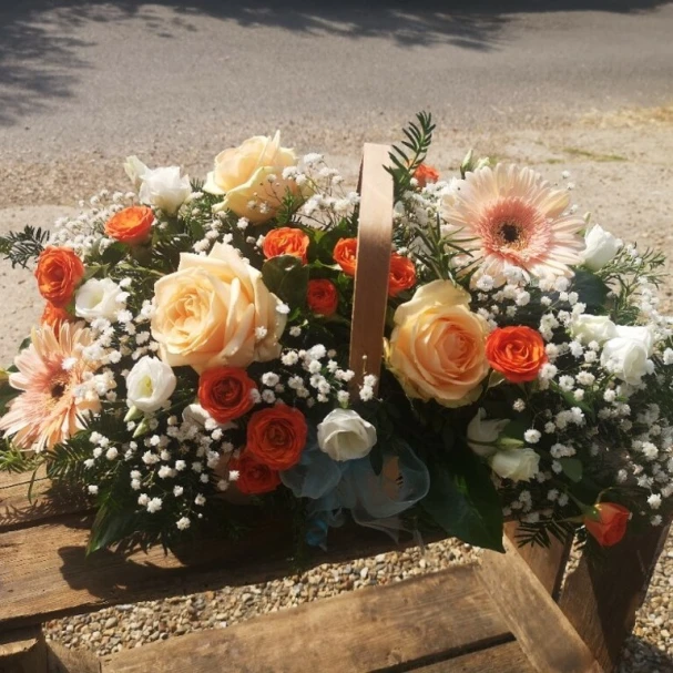 eco-apricot-basket