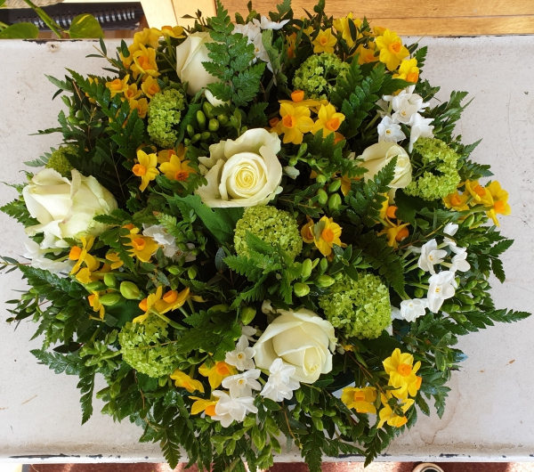 Yellow posy