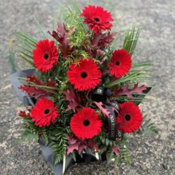 gorgeous-gerbera-red
