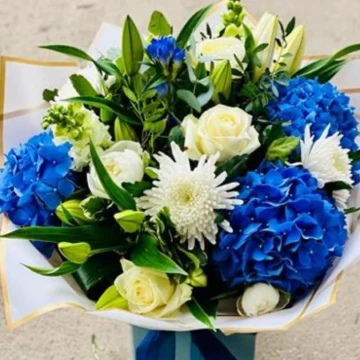 blue-blaze