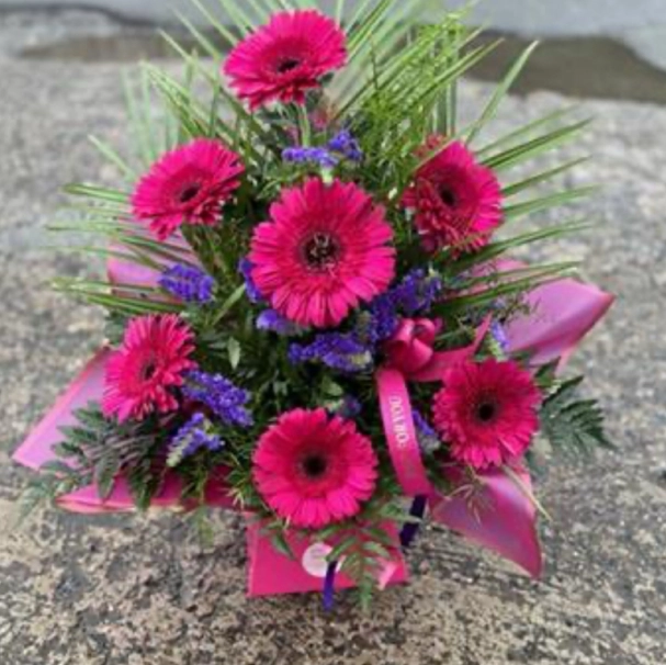 gorgeous-gerbera-pink