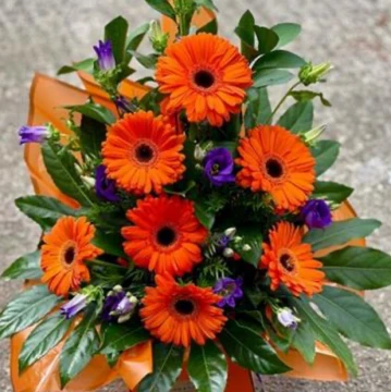 gorgeous-gerberas