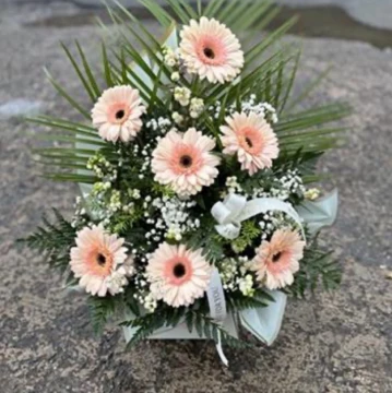 gorgeous-gerbera