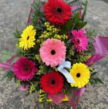 gorgeous-gerberas-vibrant