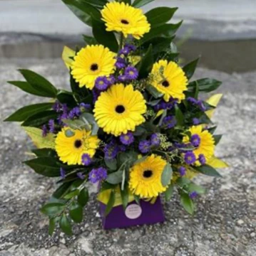 gorgeous-gerberas-yellow