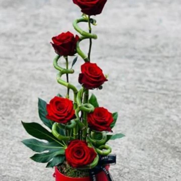 twist-of-love