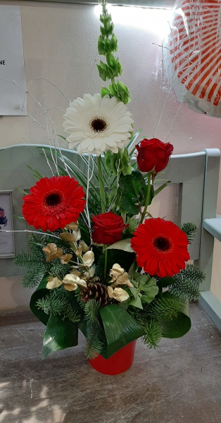 Festive pot arrangement