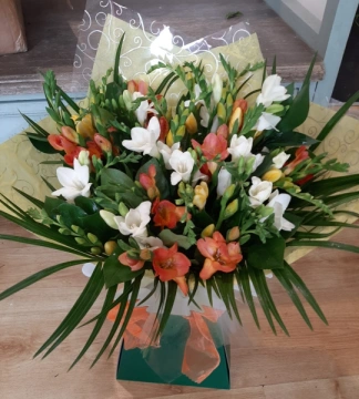 mixed-freesia