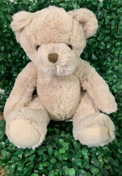 suki-teddy-bear