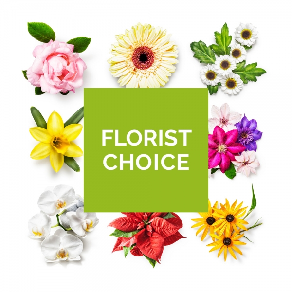 Florist choice aqua pack