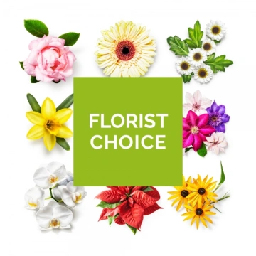 florist-choice-aqua-pack