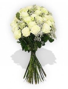 babys-breath