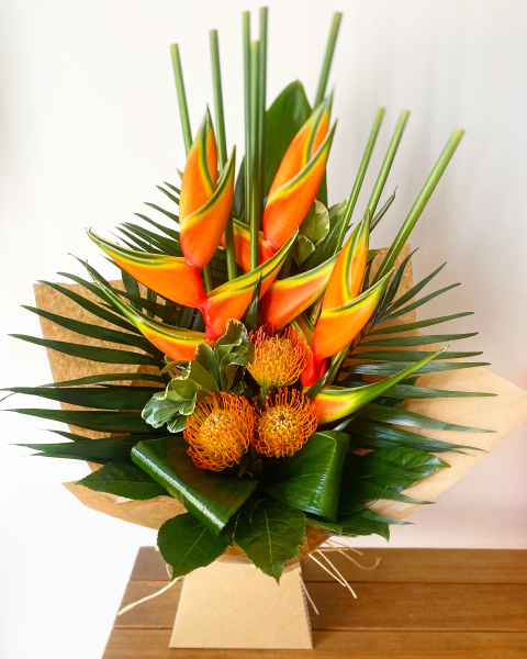 Jungle bird of paradise
