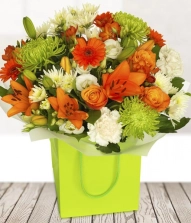 lime-orange