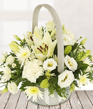 garden-of-delight