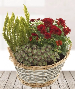 warm-mix-pot