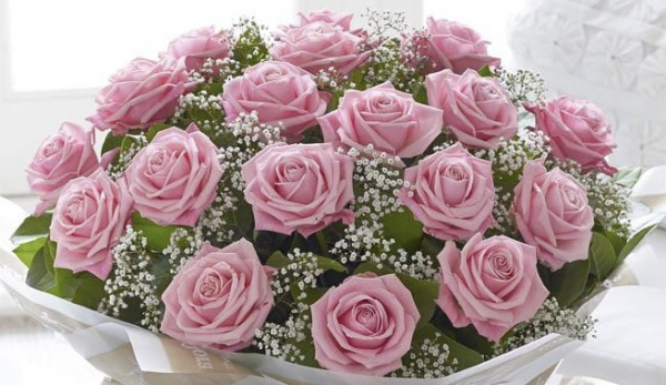 20-pink-roses