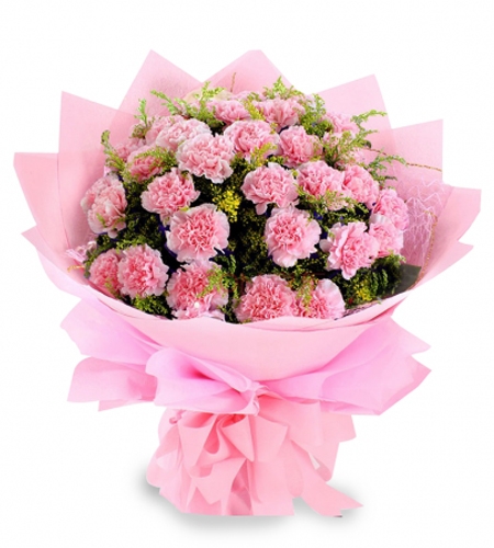 Pink carnations