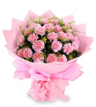 pink-carnations