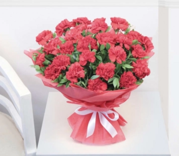 red-carnations