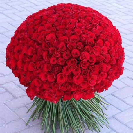 300 roses give it to her