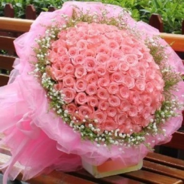100-300-500-aqua-roses