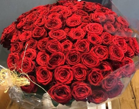 100-300-500-rosa-naomi