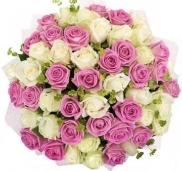 200-white-pink-roses