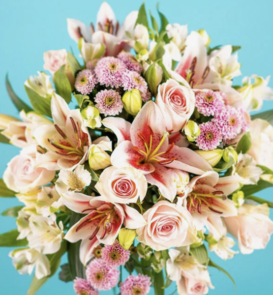 Vintage blush
