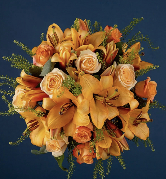 peach-lily-rose