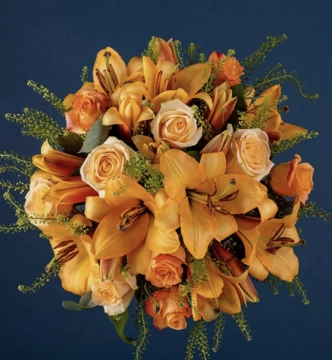 peach-lily-rose