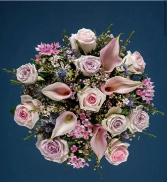 cala-lily-rose