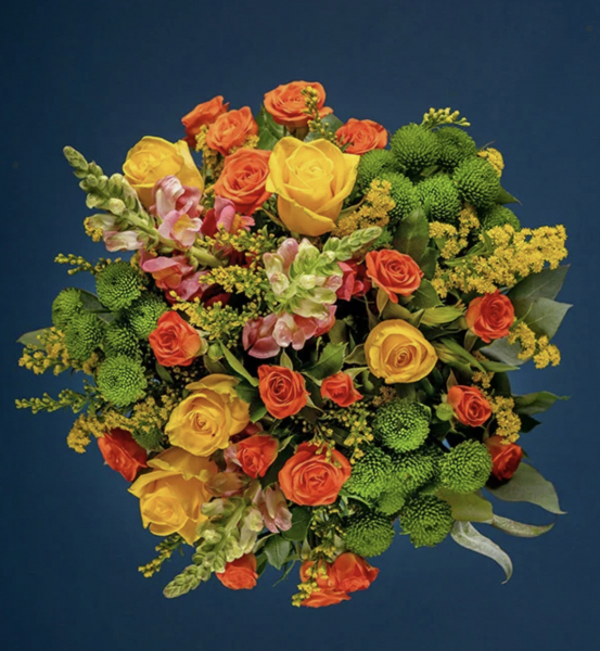 Summer roses