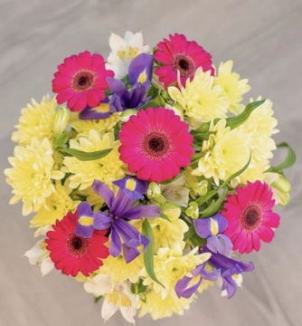splendid-spring