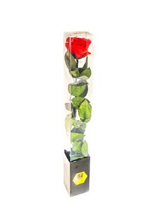 ice-dry-red-rose-boxed