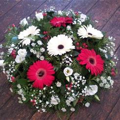 Posy red and white