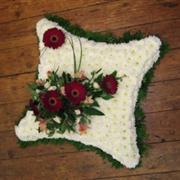 sympathy-cushion