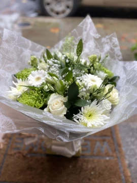 white-wonder