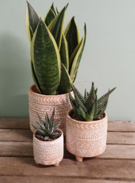 trio-of-mexican-planters