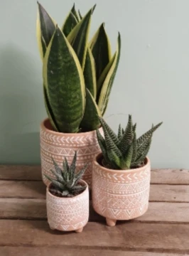 trio-of-mexican-planters