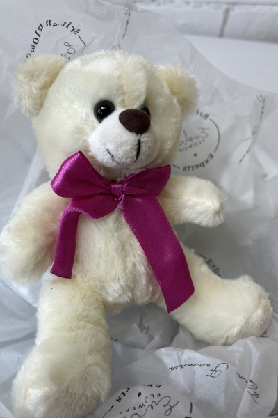 cute-cuddly-bear