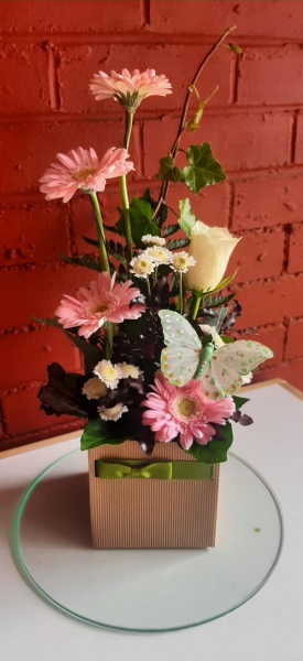 kraft-pot-arrangement